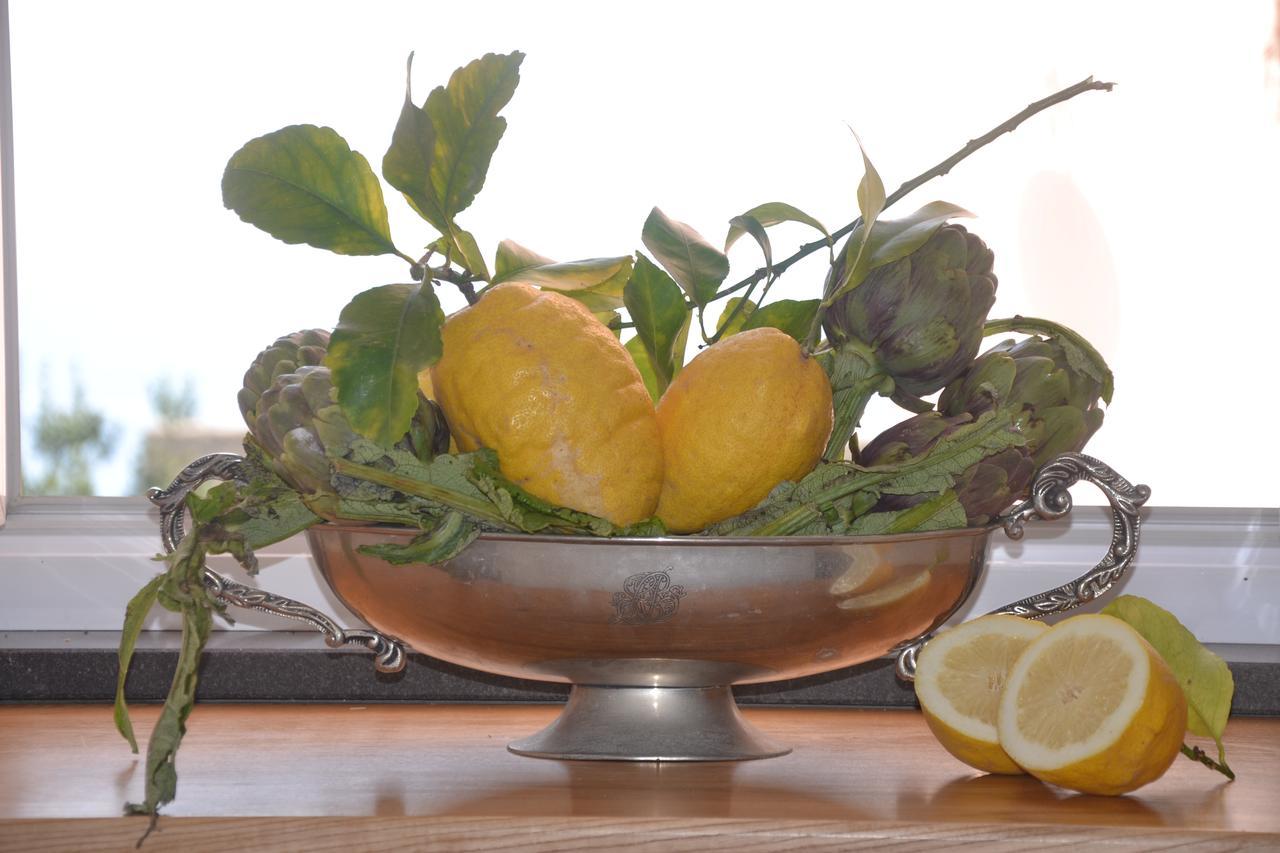 Terra Murata Boutique B&B Procida Zewnętrze zdjęcie