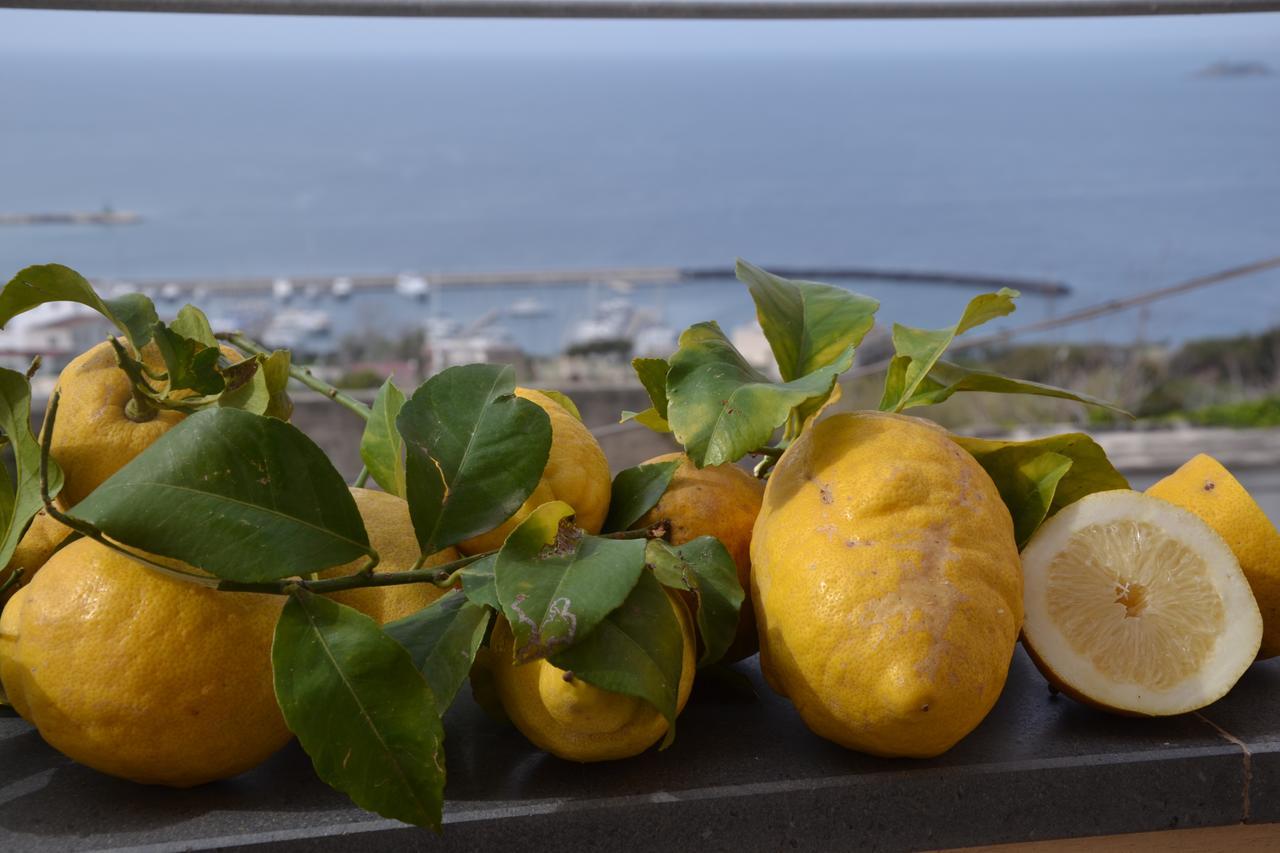 Terra Murata Boutique B&B Procida Zewnętrze zdjęcie