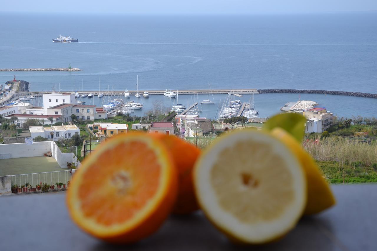 Terra Murata Boutique B&B Procida Zewnętrze zdjęcie