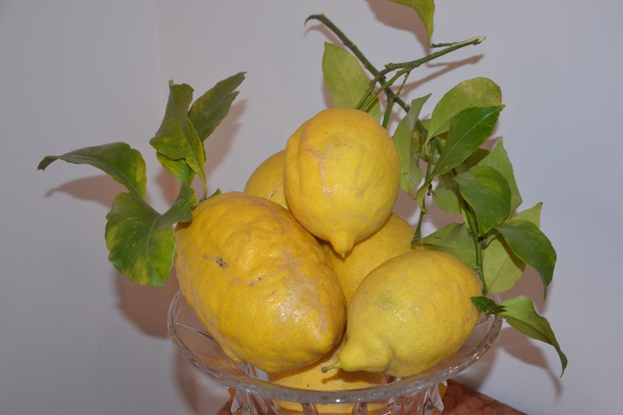 Terra Murata Boutique B&B Procida Zewnętrze zdjęcie